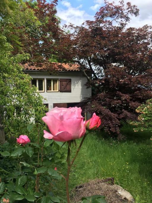Lerable Pourpre De La Grotte Au Lion Vila Arbon Exterior foto
