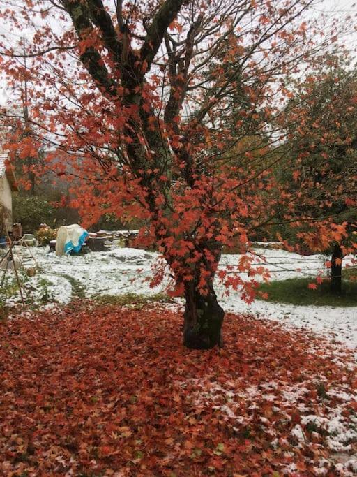 Lerable Pourpre De La Grotte Au Lion Vila Arbon Exterior foto