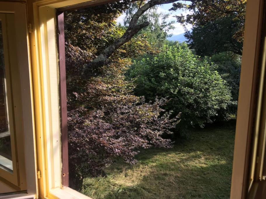 Lerable Pourpre De La Grotte Au Lion Vila Arbon Exterior foto
